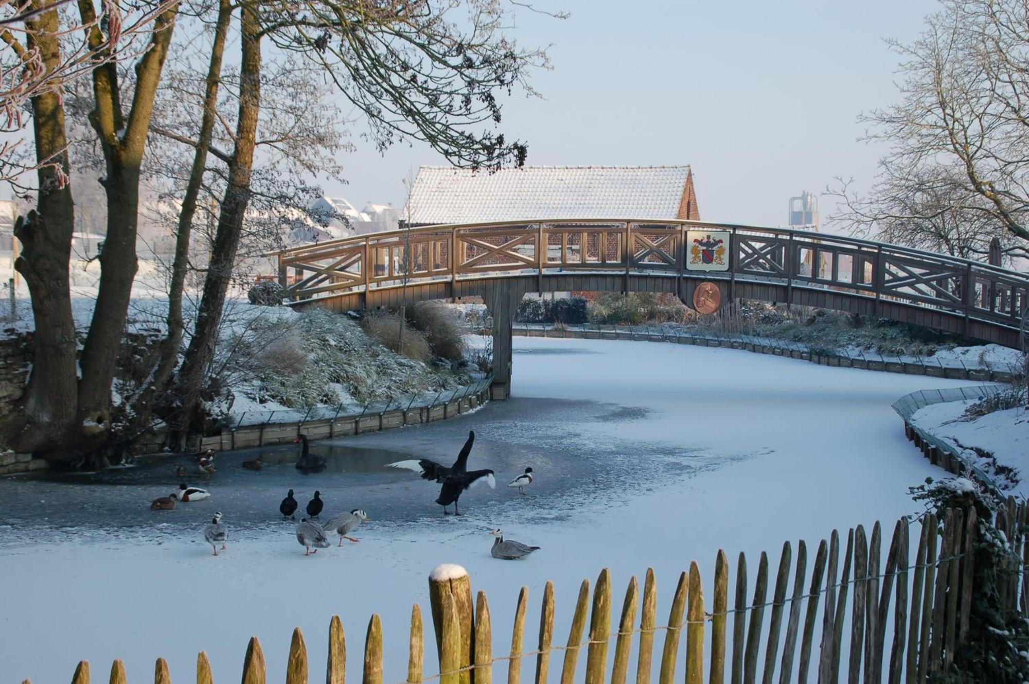 B&B De Rentmeesterhoeve Reningelst Luaran gambar